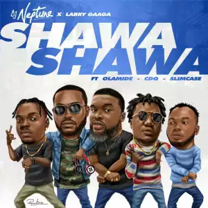 DJ Neptune - Shawa Shawa ft Larry Gaaga, Olamide, CDQ & Slimcase